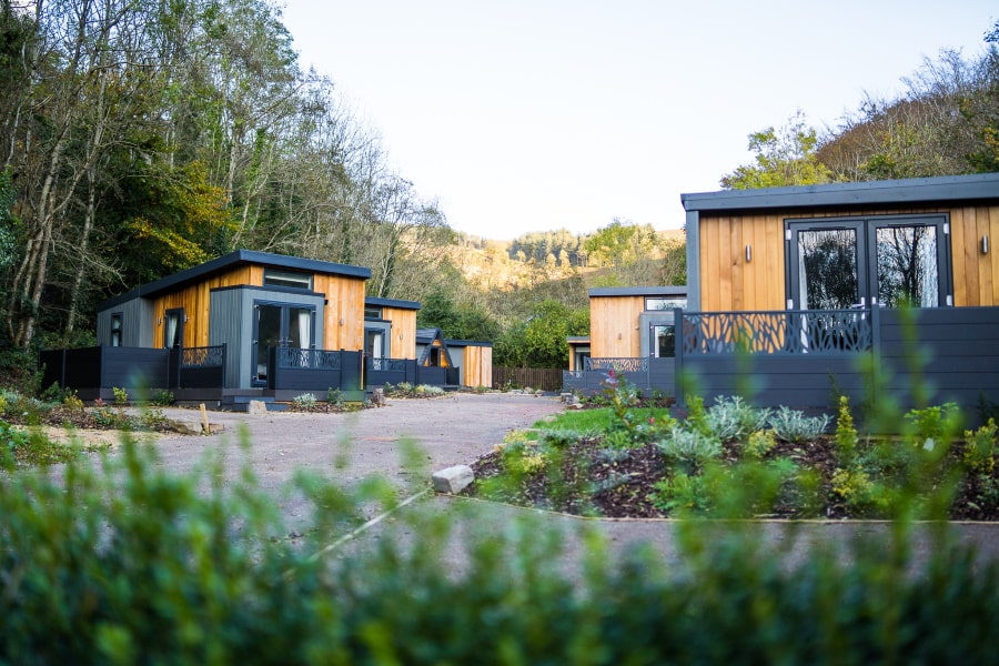 Cwmcarn forest clearance camping