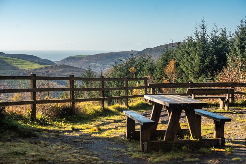 Afan discount forest camping